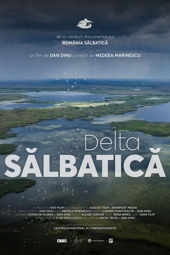 Poster Delta Sălbatică